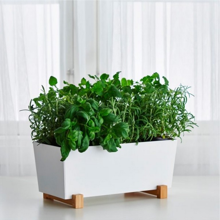 25 Best Indoor Herb Pots and Planters to Add Flavor to Any Home Page